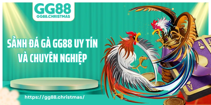 Sảnh đá gà GG88 uy tín và chuyên nghiệp